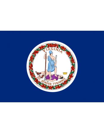 Patch Bandiera Virginia termoadesive