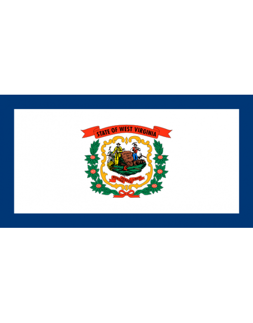 Patch Bandiera West Virginia termoadesive