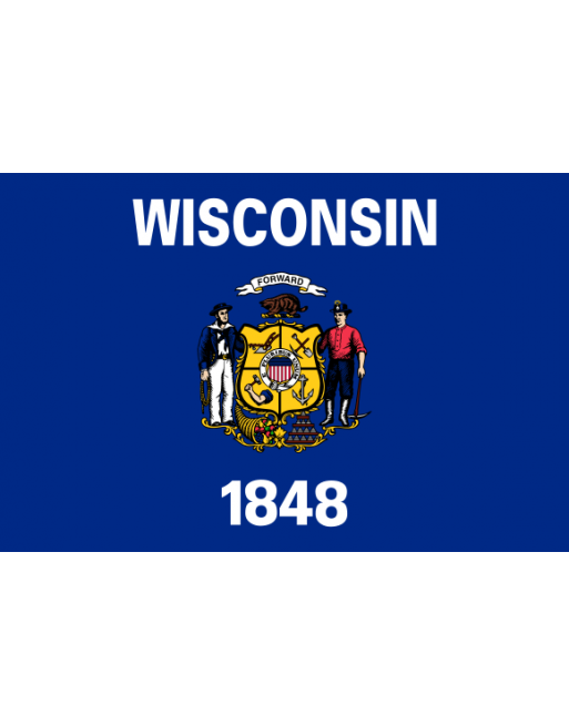 Patch Bandiera Wisconsin termoadesive